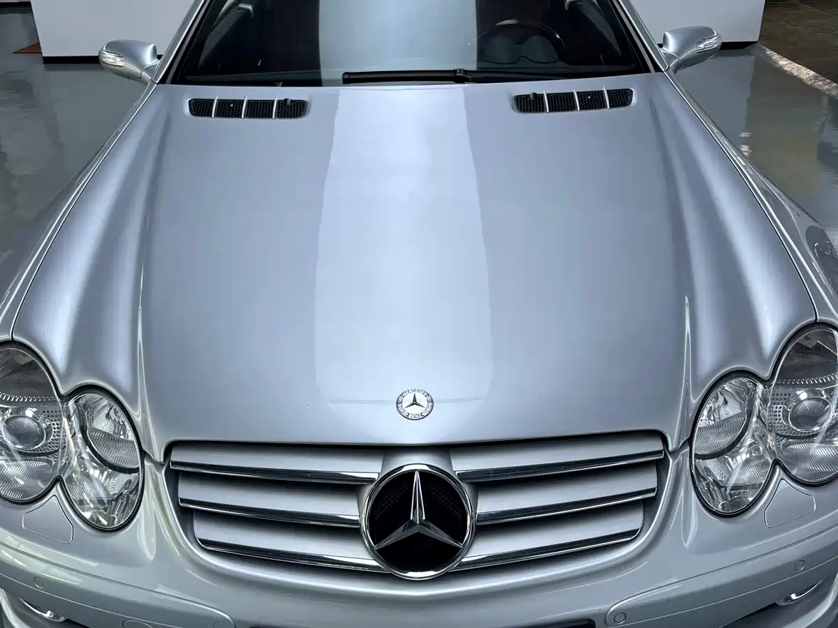 Mercedes-Benz SL-Class 2008 SL 500 фото 6