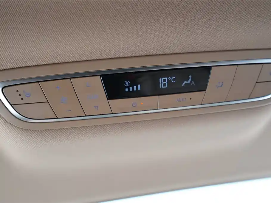 Buick GL8 2021 ES Landlord 653T Premium фото 16