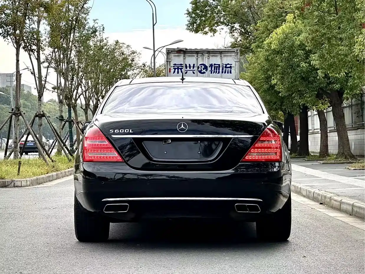 Mercedes-Benz S-Class 2010 S 600 L фото 8