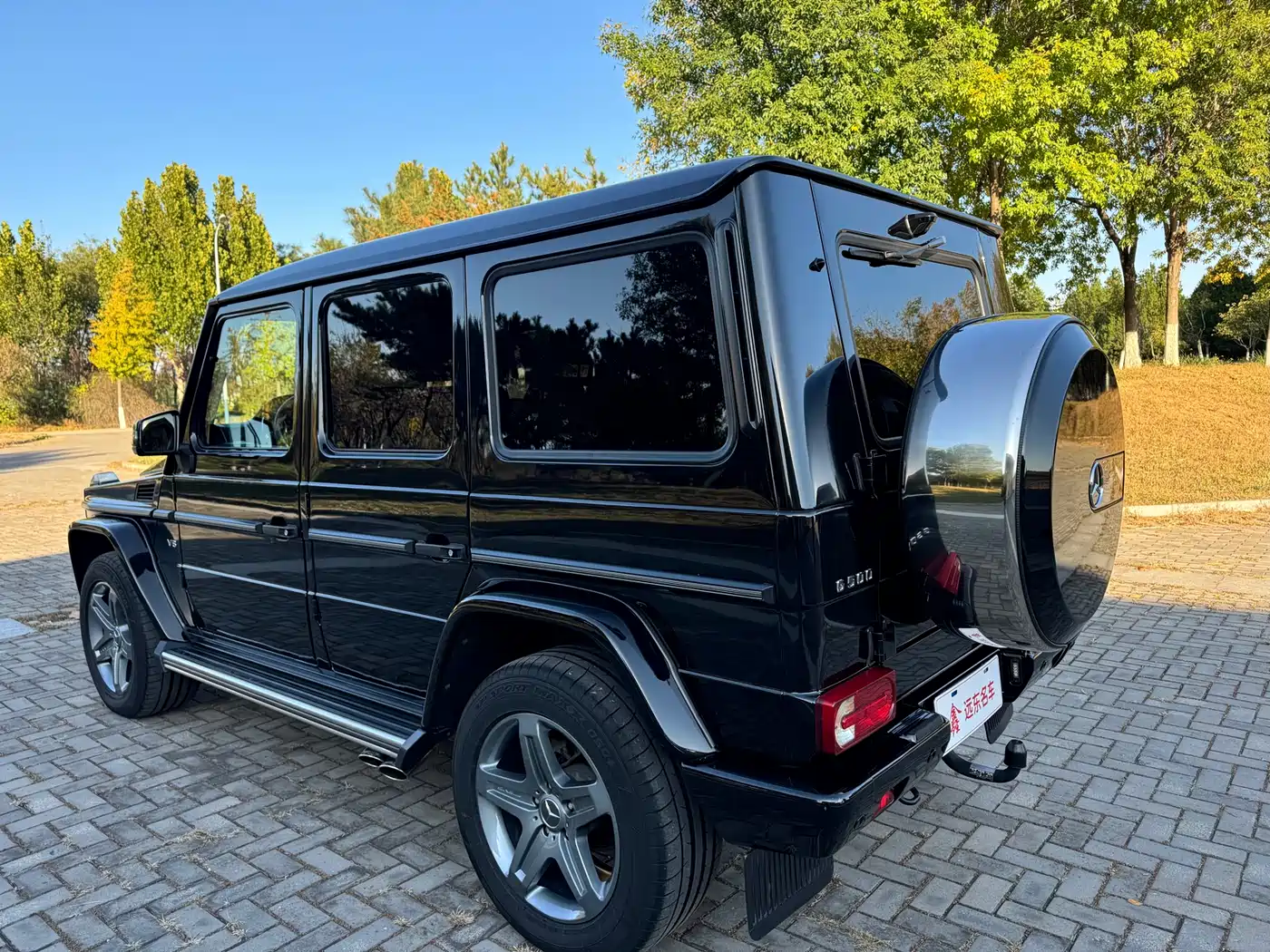 Mercedes-Benz G-Class 2016 G 500 фото 8