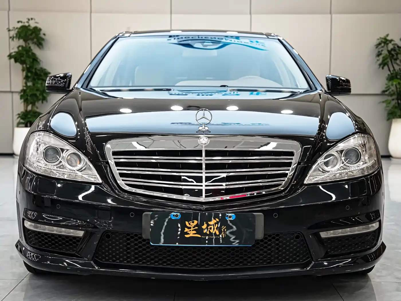 Mercedes-Benz S-Class AMG 2013 AMG S 65 L Grand Edition фото 3