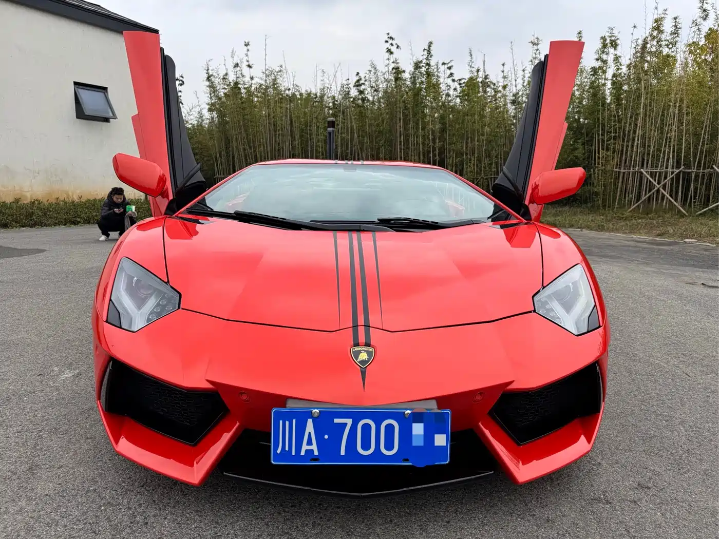 Lamborghini Aventador 2012 2011 LP 700-4