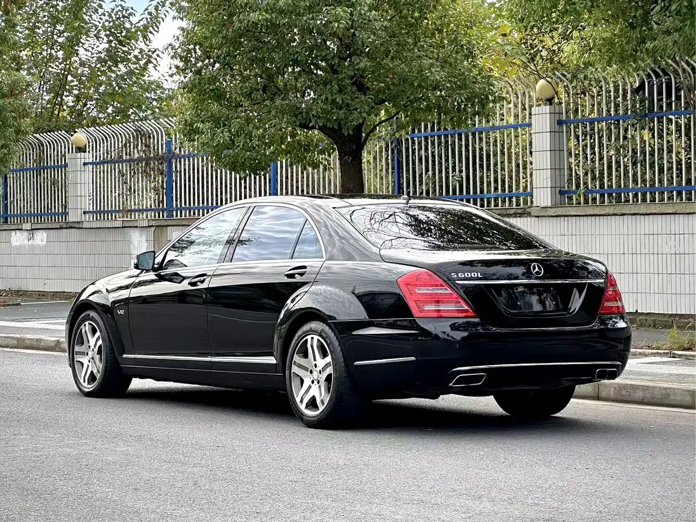 Mercedes-Benz S-Class 2010 S 600 L фото 9