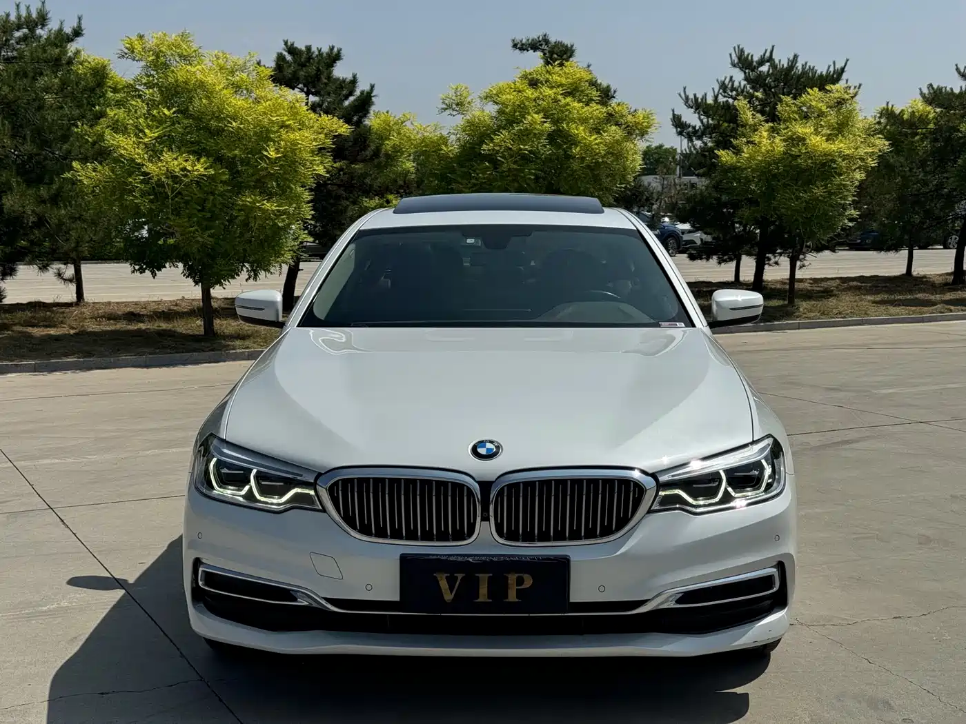 BMW 5 Series 2020 530Li xDrive Luxury Package фото 2
