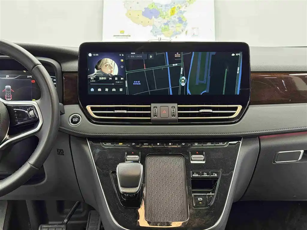 Hongqi HQ9 PHEV 2024 Model 2.0T AWD Luxury Edition фото 10