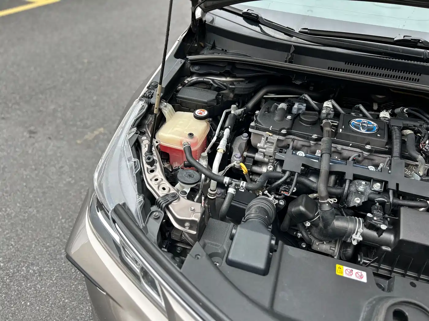 Toyota Corolla 2019 Hybrid 1.8L E-CVT GL-i Elite Edition фото 48
