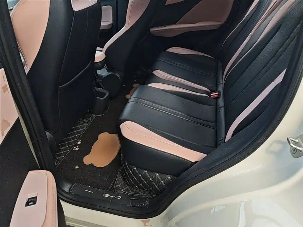 BYD Seagull 2024 Glory Edition 305km Vitality Edition фото 17