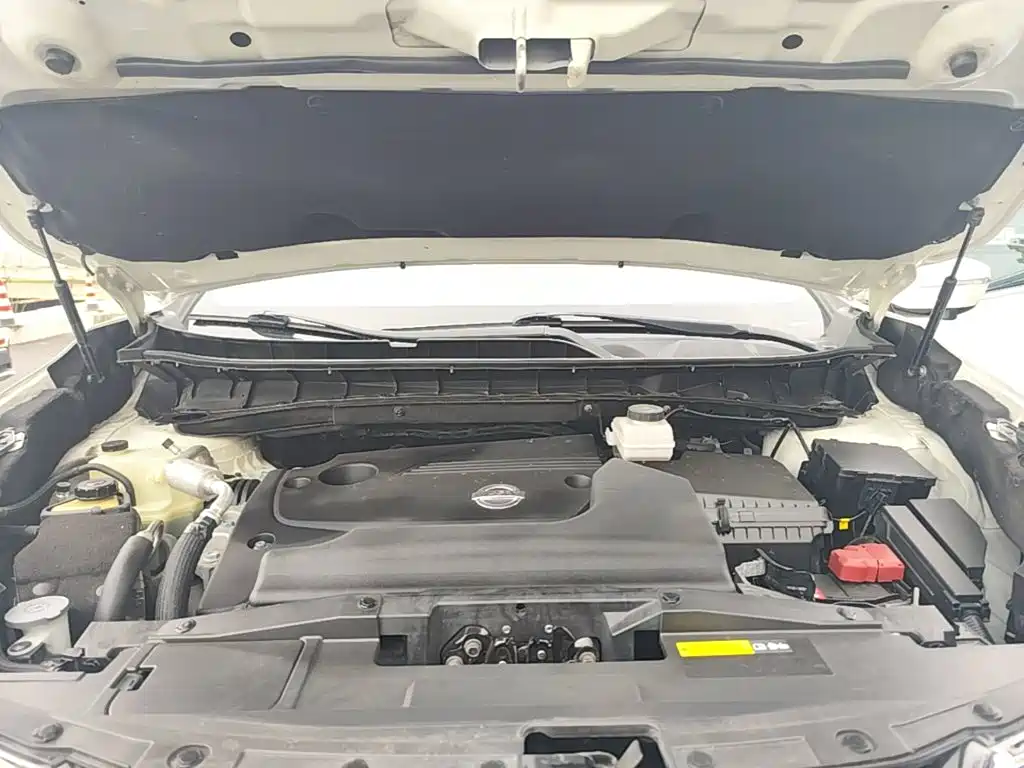 Nissan Murano 2020 2019 2.5L XL 2WD Smart Connect Luxury Edition (China VI)