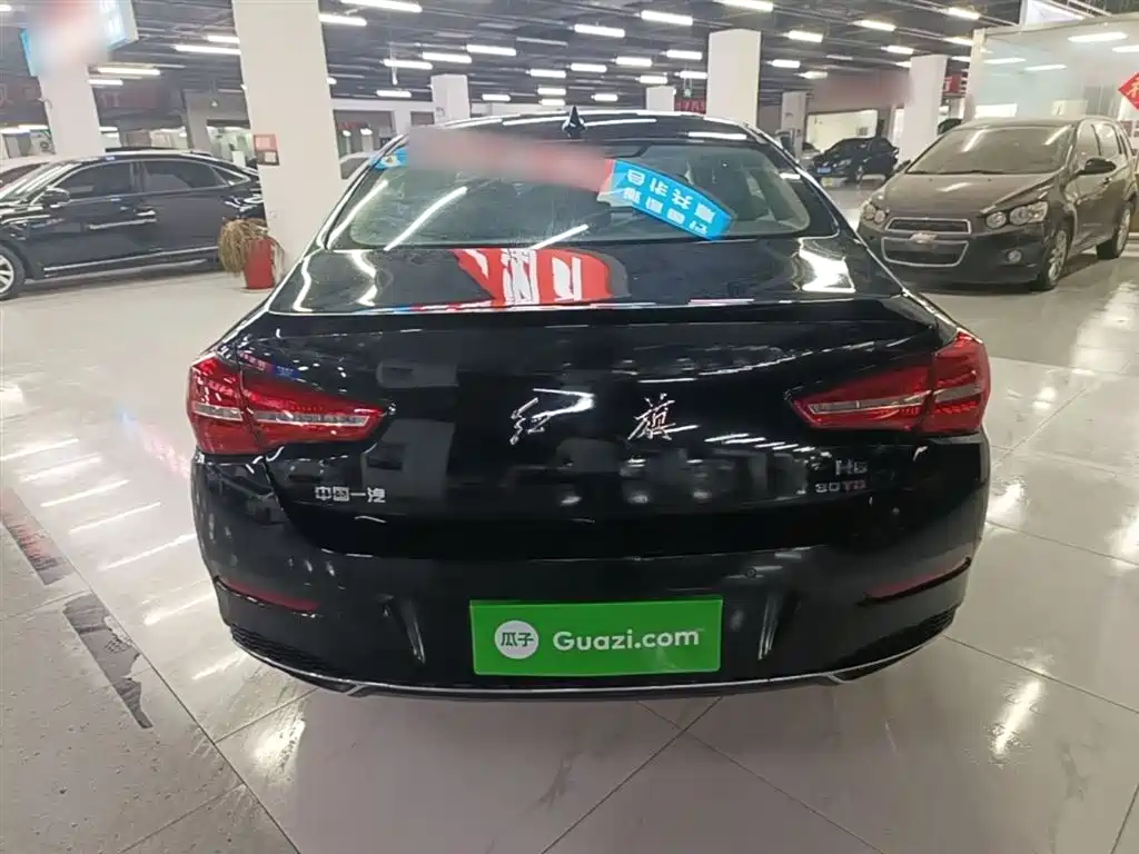 Hongqi H5 2020 1.5T DCT Qi Rhythm Edition фото 6