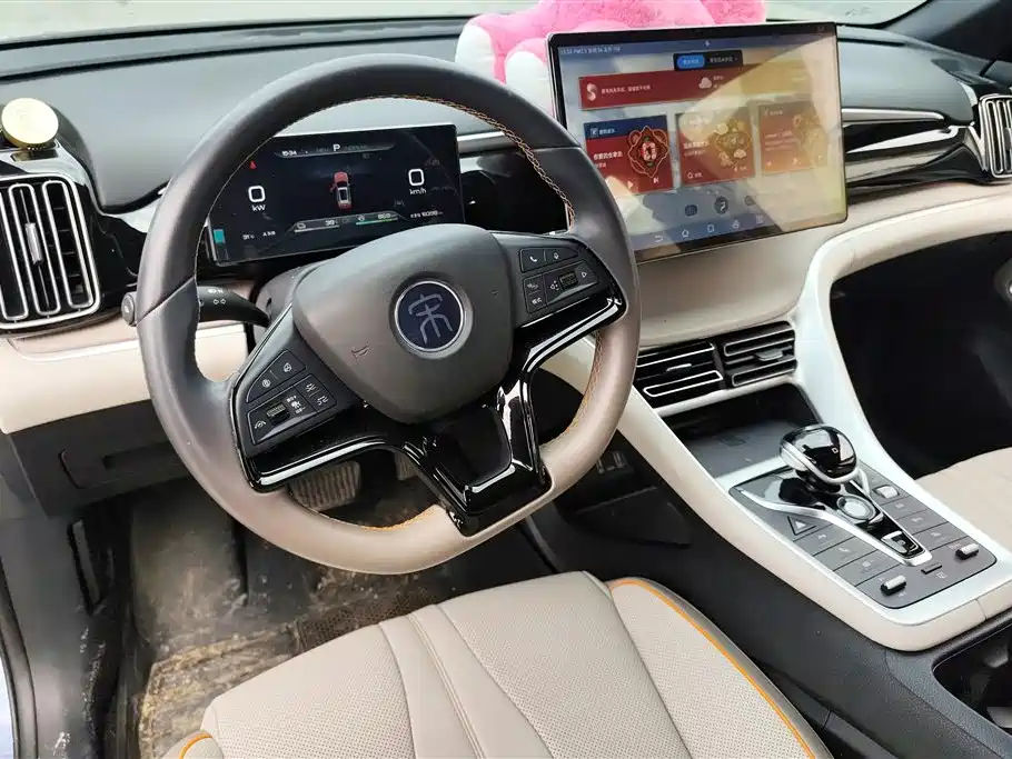 BYD Song Pro New Energy 2024 Glory Edition DM-i 110KM Excellence фото 12