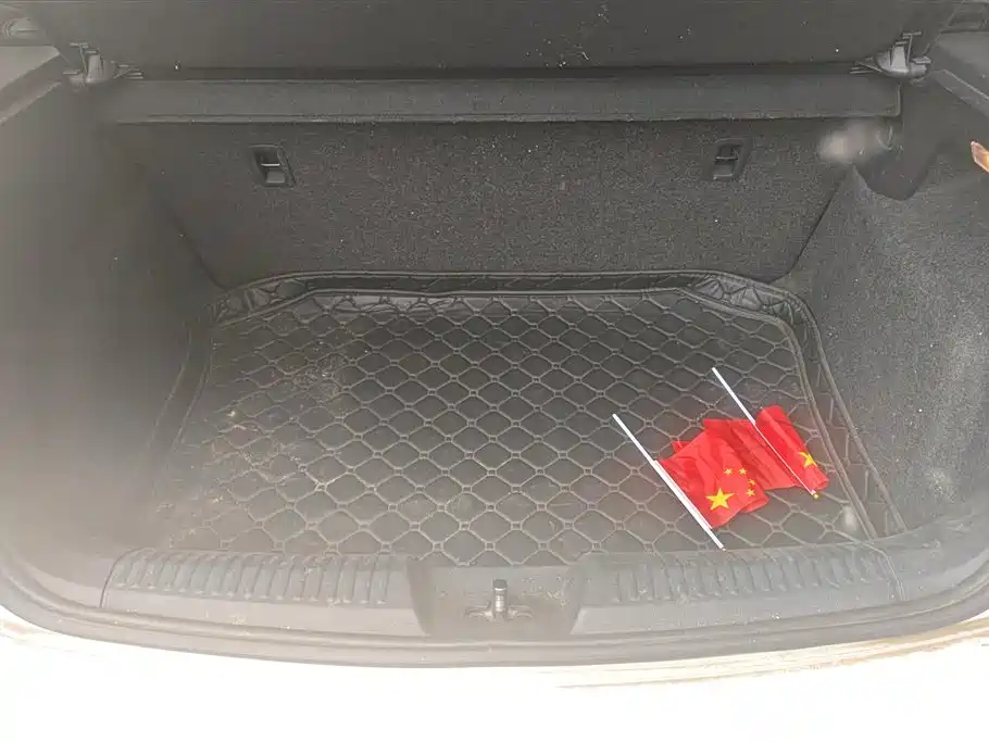 Volkswagen Polo 2018 1.5L Auto Safe Drive фото 4