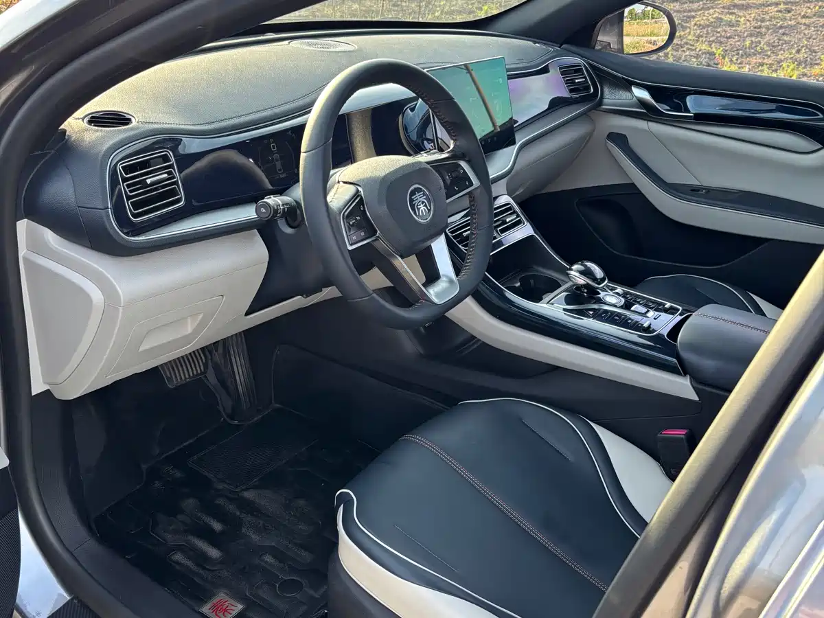 BYD Qin PLUS 2021 DM-i 120KM Premium фото 10