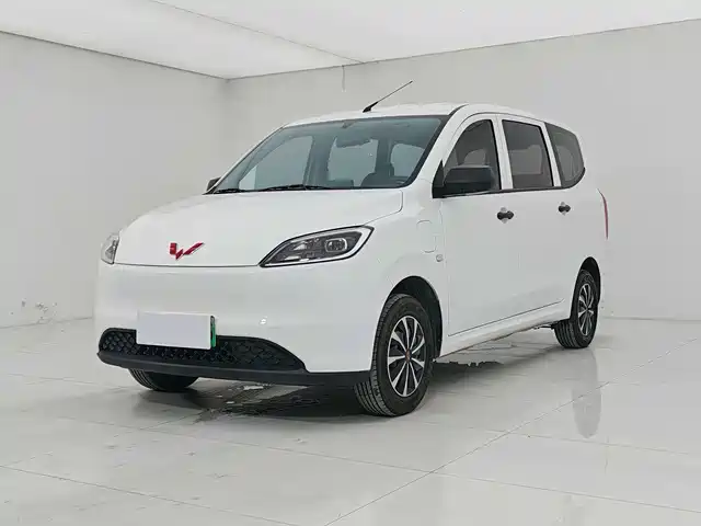  Wuling Motors Wuling Hongguang New Energy 2024 Pure Electric 300KM Standard