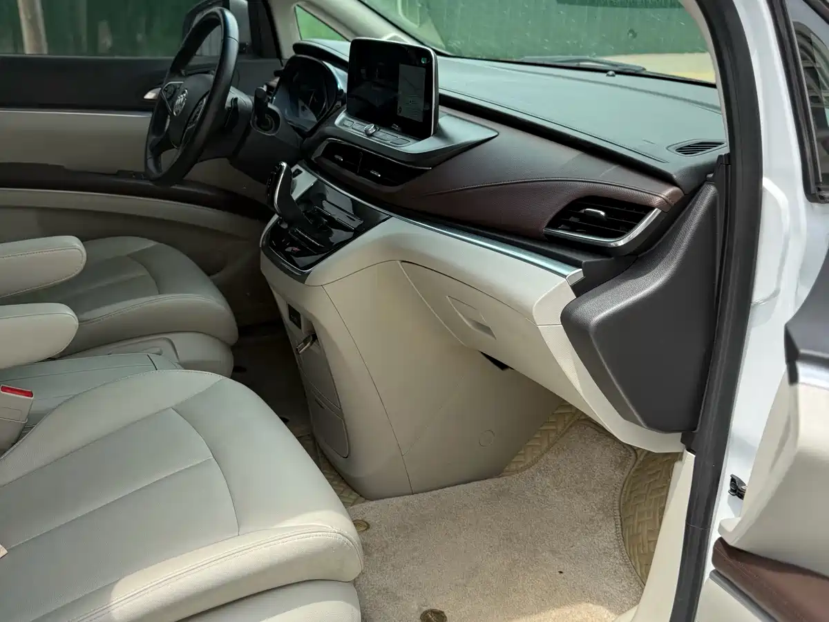 Buick GL8 2021 Land Business Class 652T Premium фото 9