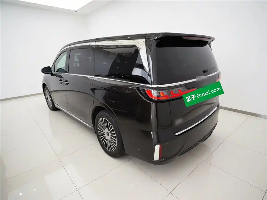 Voyah Auto Voyah Dreamer 2025 PHEV AWD Flagship Kunpeng Edition фото 5