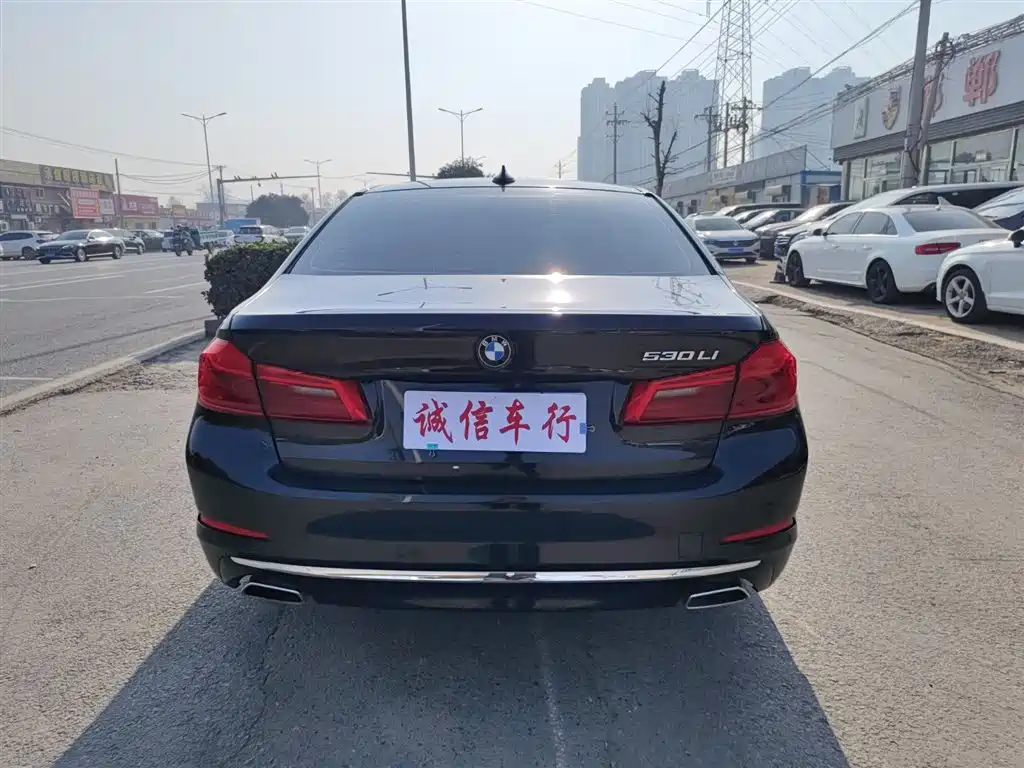 BMW 5 Series 2020 530Li Leading Luxury Package фото 3