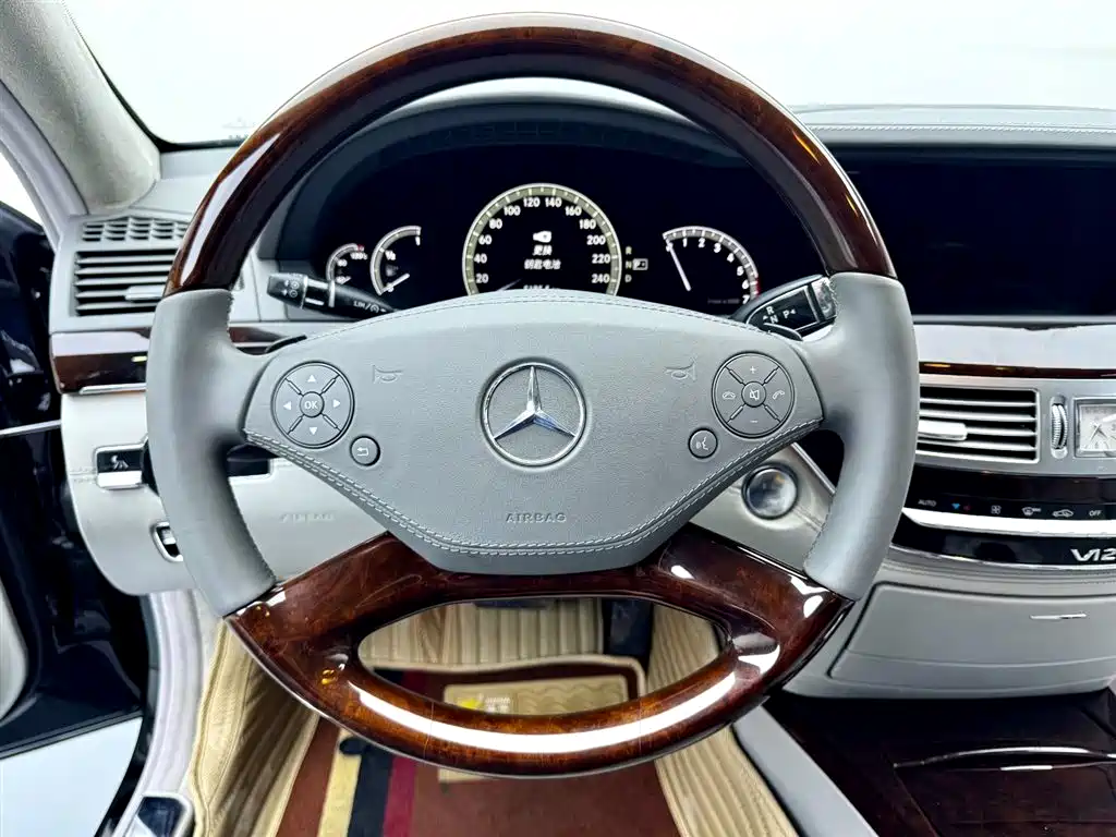 Mercedes-Benz S-Class 2010 S 600 L фото 13