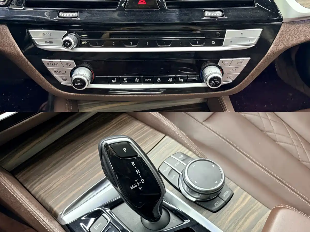 BMW 5 Series 2019 530Li Leading Luxury Package фото 9