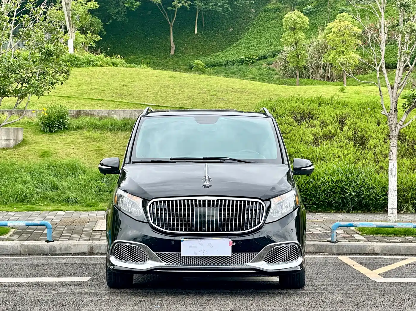 Mercedes-Benz Vito 2018 2.0T Business China V фото 2