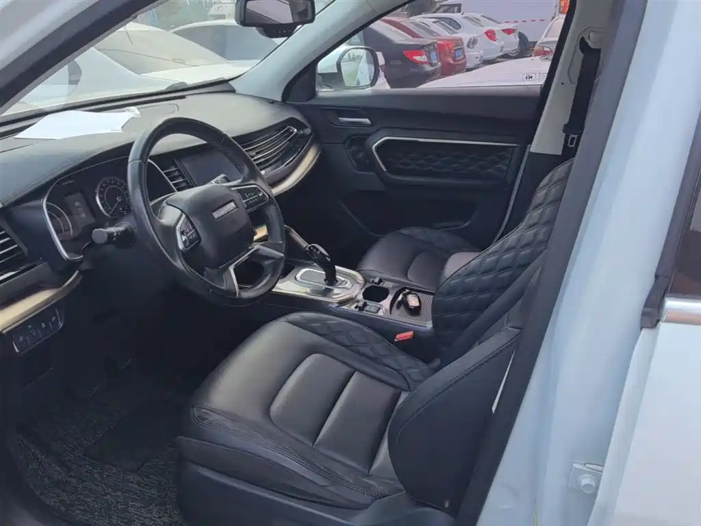 Haval H6 2020 1.5GDIT Automatic Platinum Champion Edition фото 15
