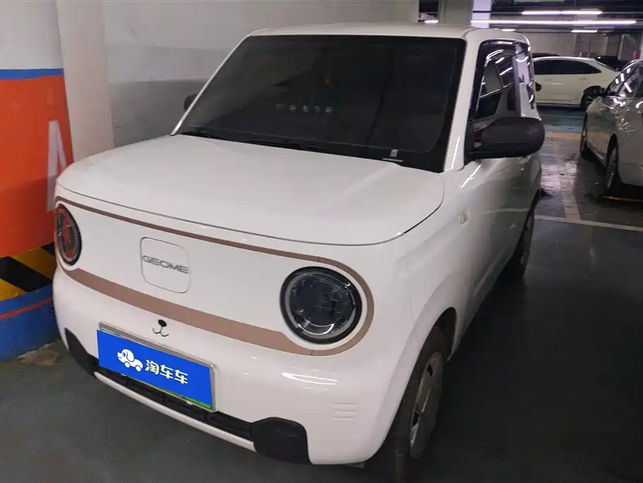Geely Galaxy Panda 2024 Panda mini 200km Endurance Bear