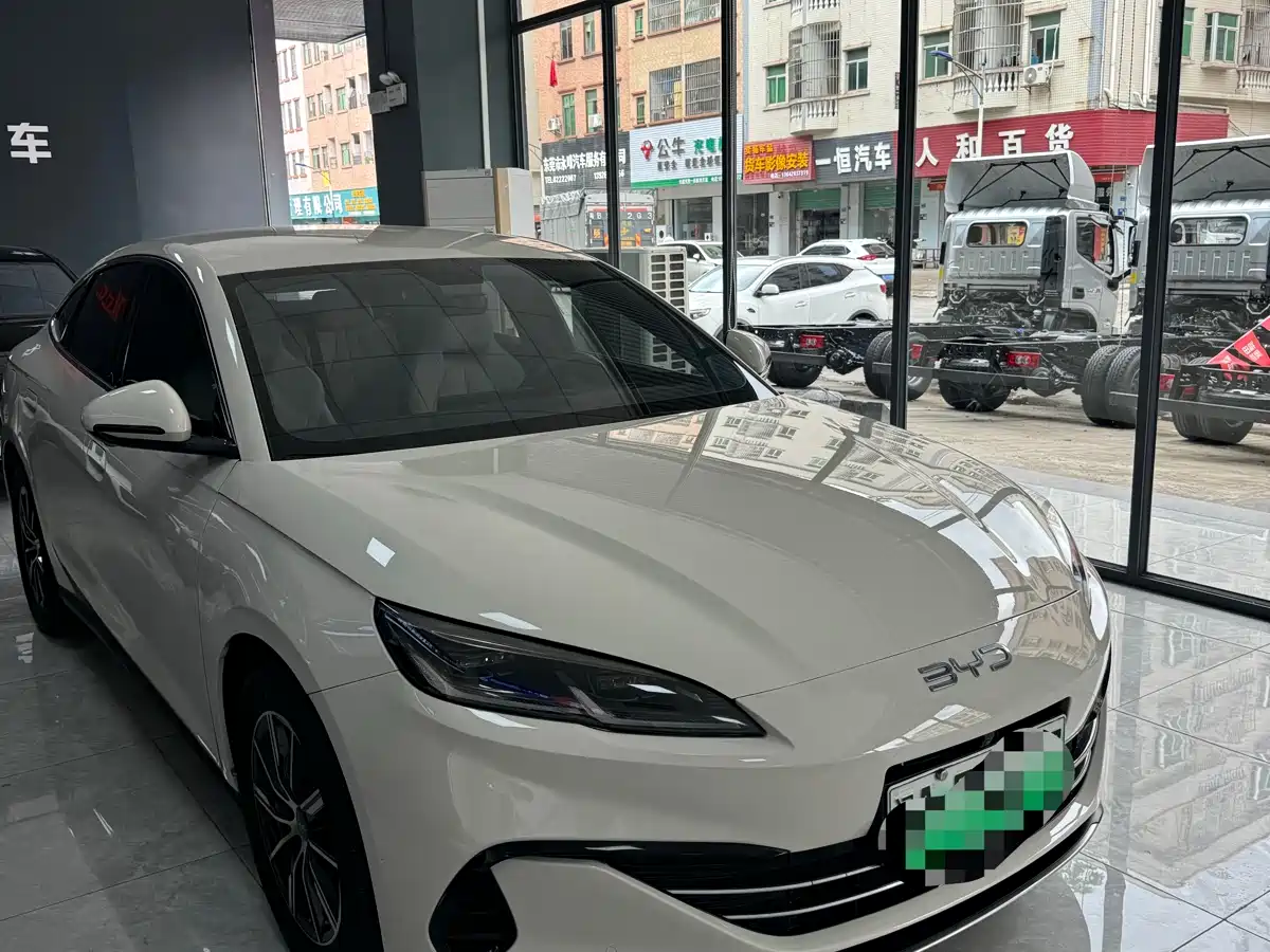 BYD Seal 06 New Energy 2024 DM-i 80KM Prestige фото 2