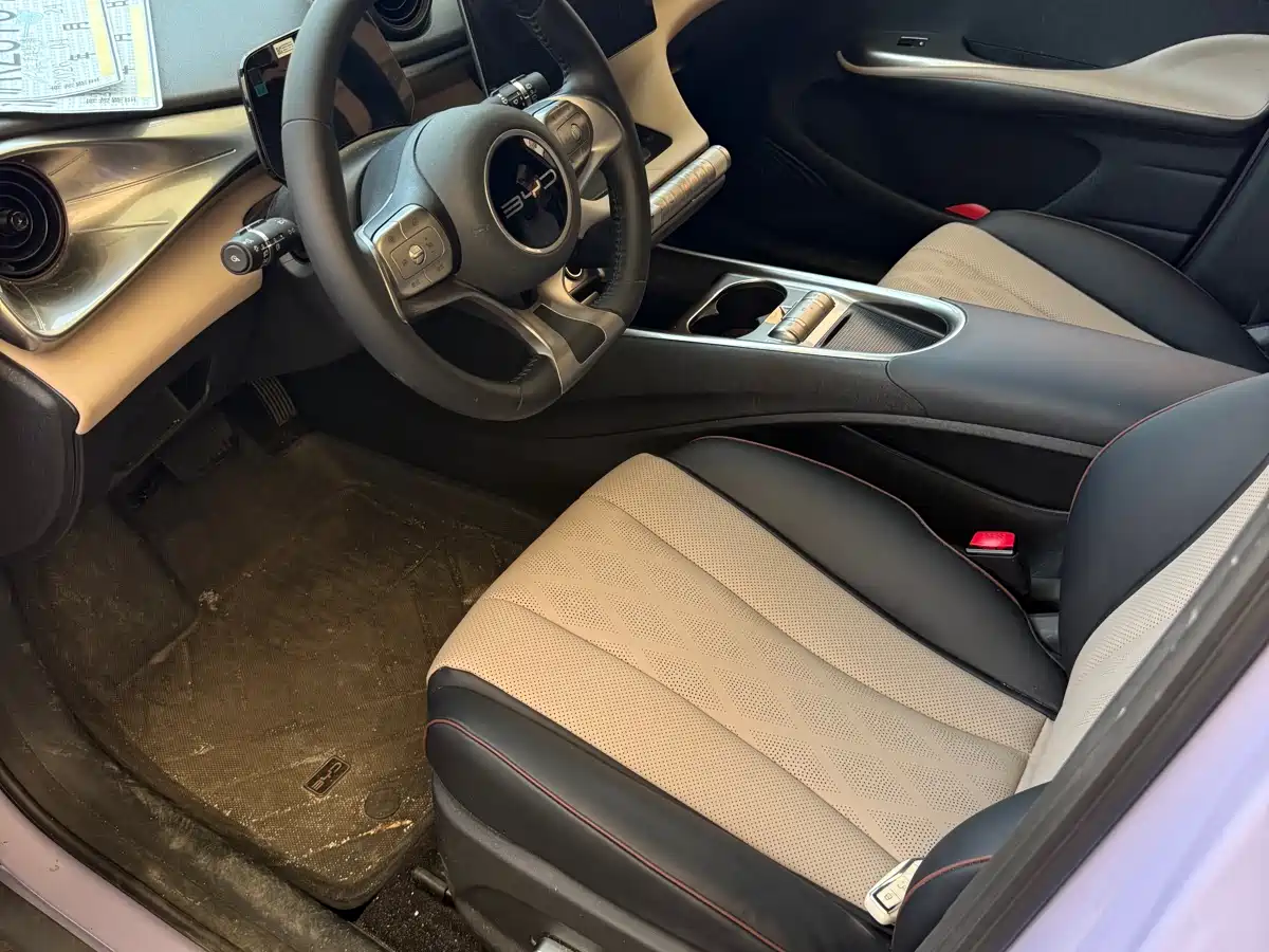 BYD Dolphin 2024 Glory Edition 420km Freedom Edition фото 3