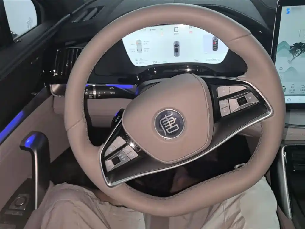 BYD Tang New Energy 2025 Smart Driving Edition DM-i 115KM Flagship фото 11