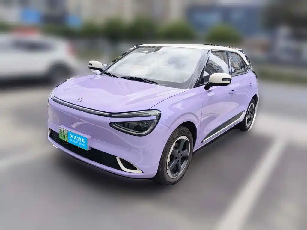 Dongfeng Yipai Nano 01 2026 2026 Model High-end Version