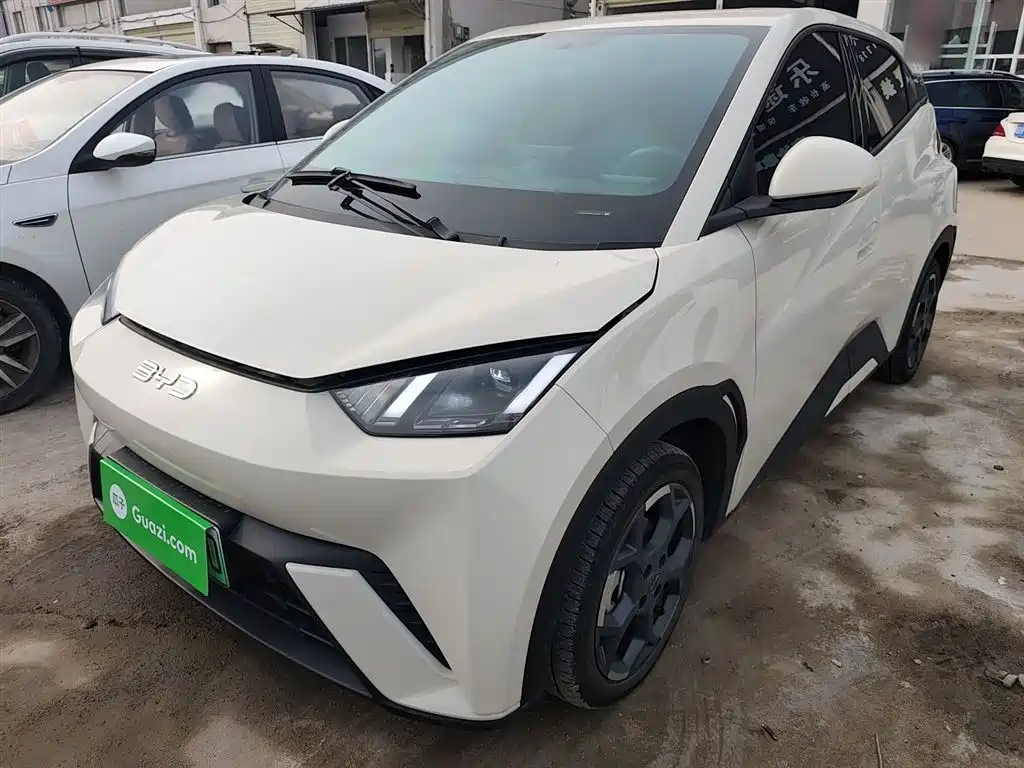 BYD Seagull 2025 305km Freedom
