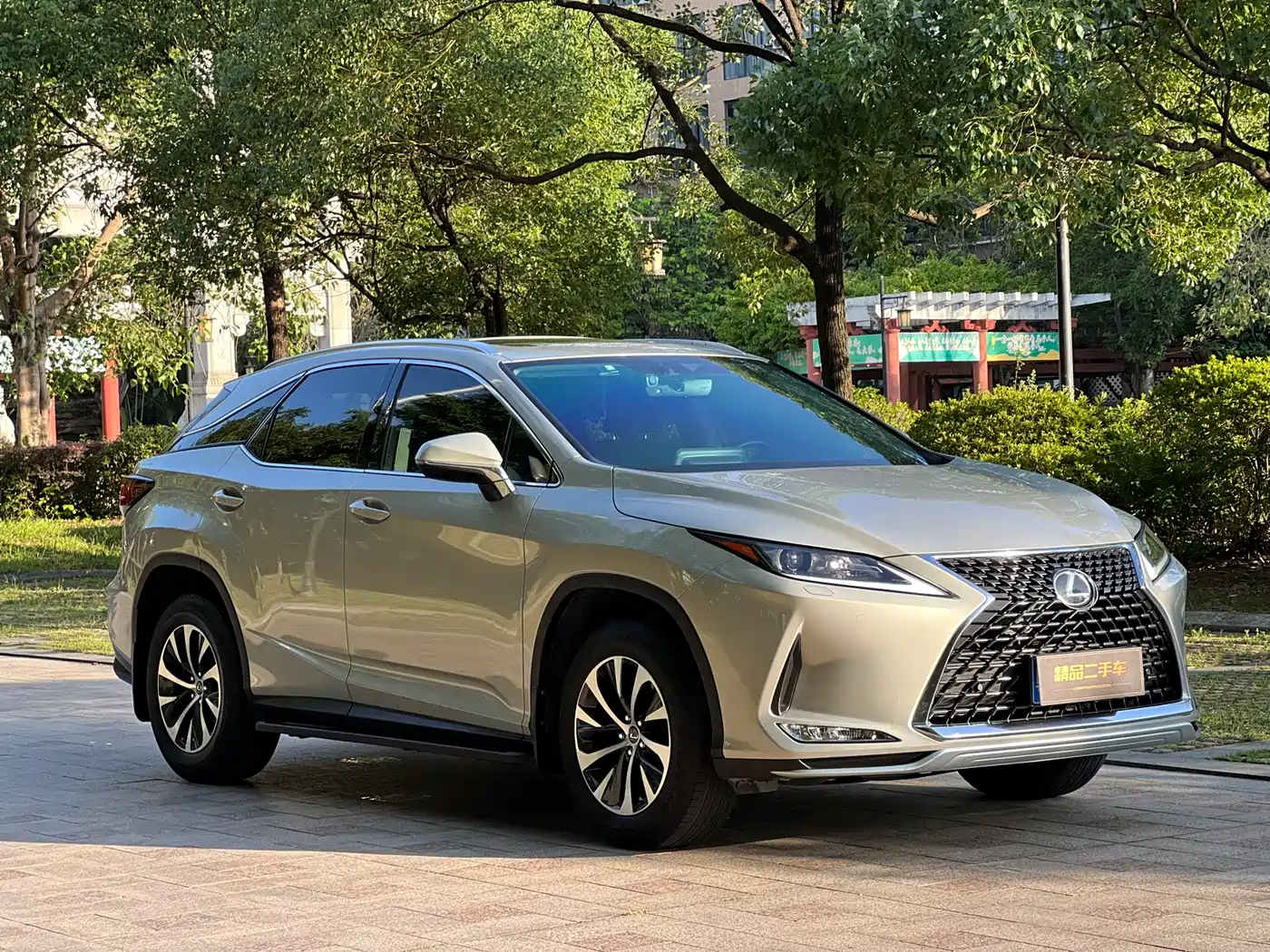 LEXUS RX