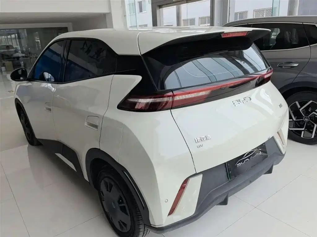 BYD Seagull 2024 Glory Edition 305km Vitality Edition фото 5