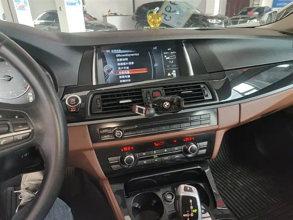BMW 5 Series 2014 520Li Elegance фото 13