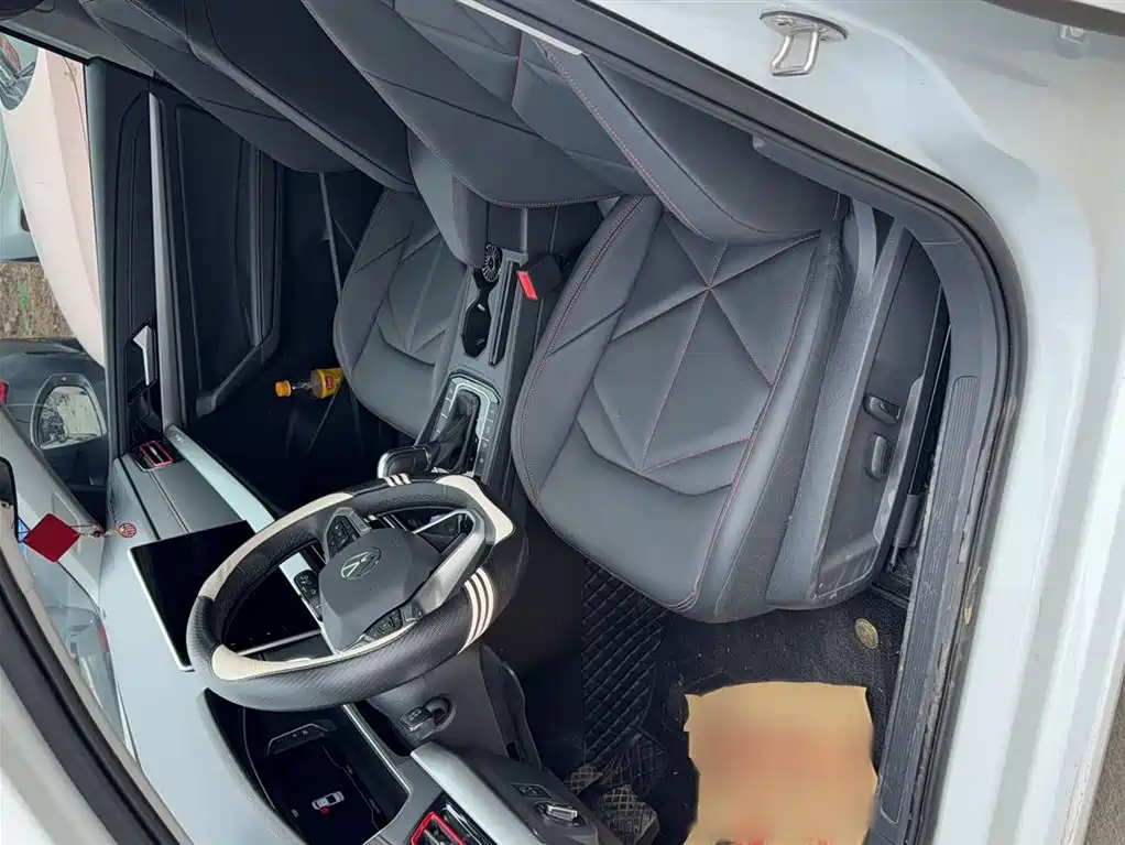 Volkswagen Lavida 2024 Model 300TSI DSG Starlight Leading Edition фото 9