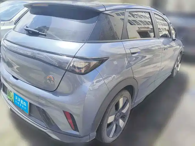 BYD Dolphin 2025 520km Knight Edition — фото 2