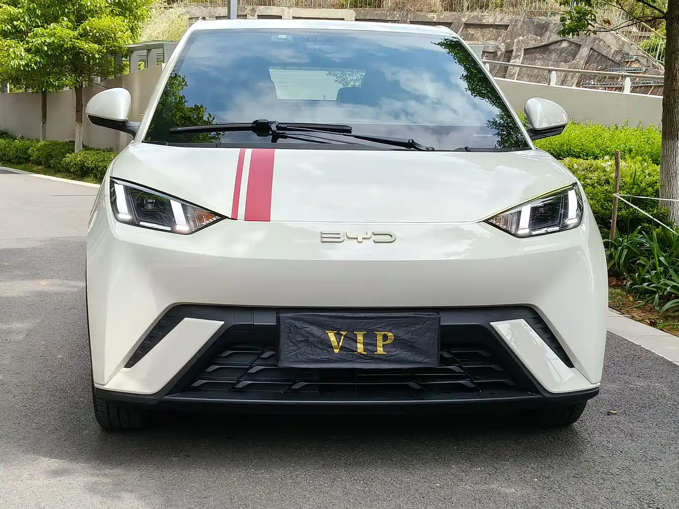 BYD Seagull 2024 Glory Edition 305km Vitality Edition фото 2