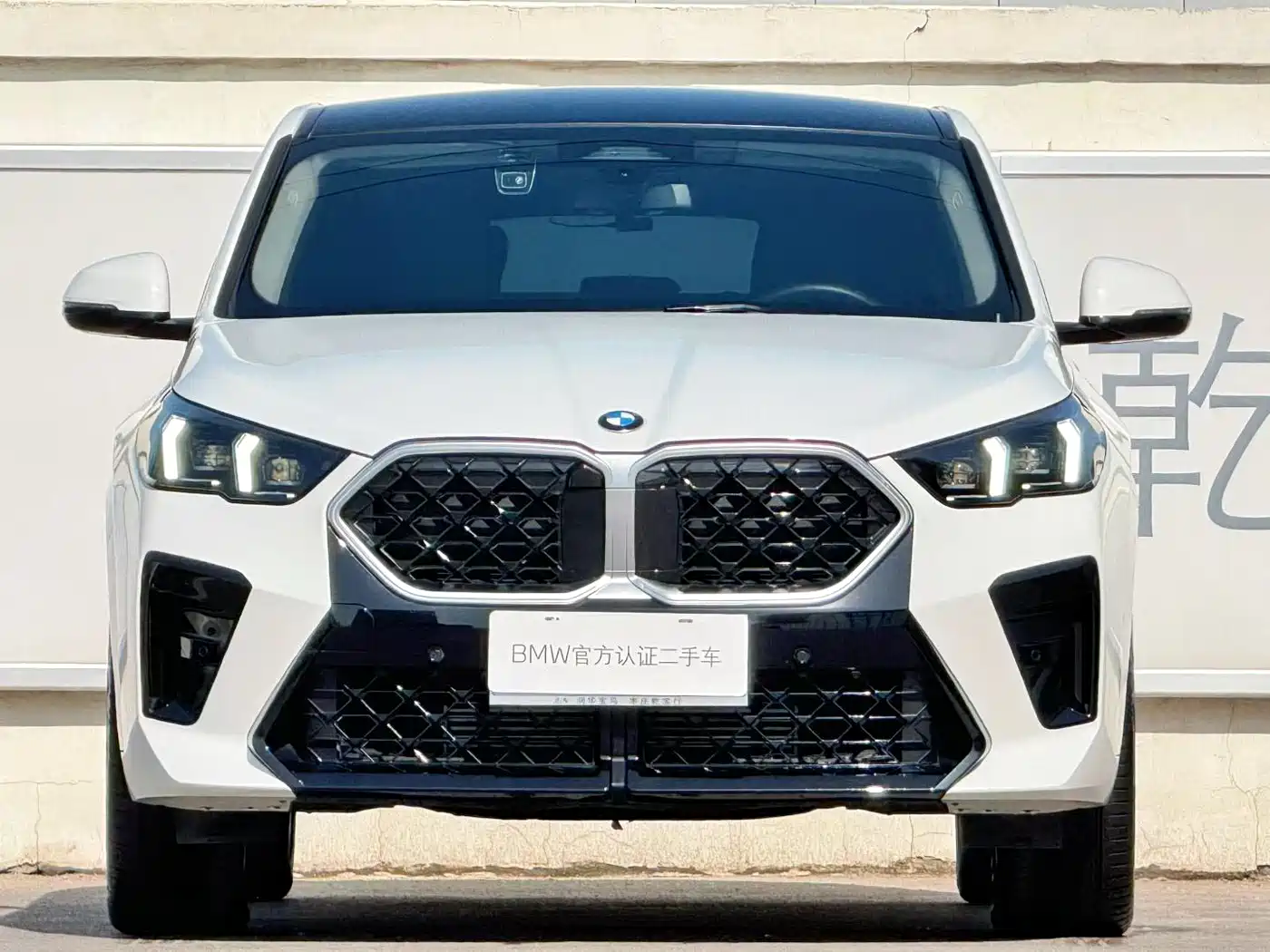 BMW X2 (Import) 2025 sDrive25i M Sport Package фото 2