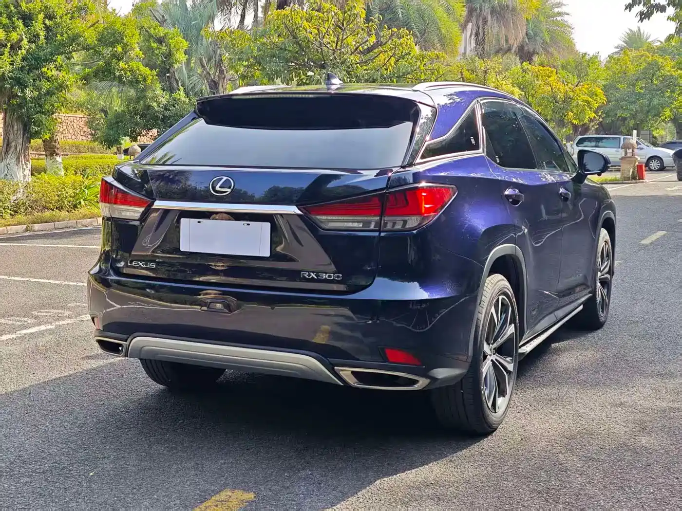 LEXUS RX