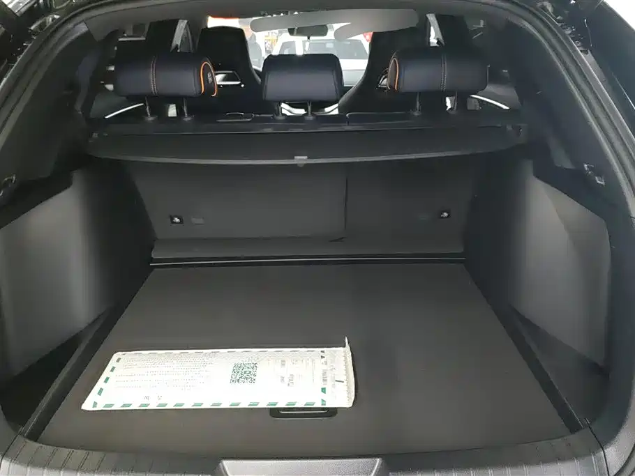 BYD SONGJIANG NEW ENERGY