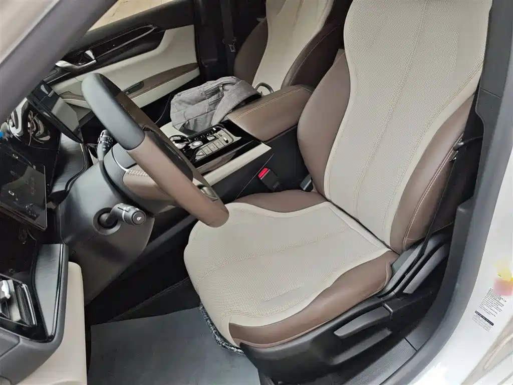 BYD Qin PLUS 2024 Glory Edition DM-i 55KM Leading фото 11