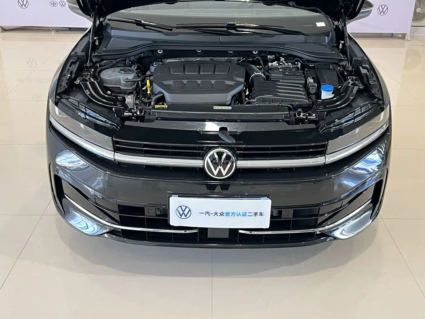 Volkswagen Magotan 2024 380TSI DSG Luxury Edition (Daimai Package) фото 18
