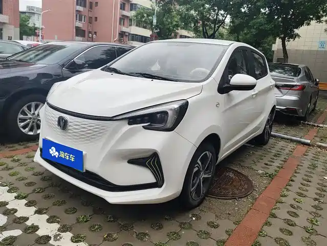 Changan Benben E-Star 2020 Heartbeat Edition (NMC Battery)