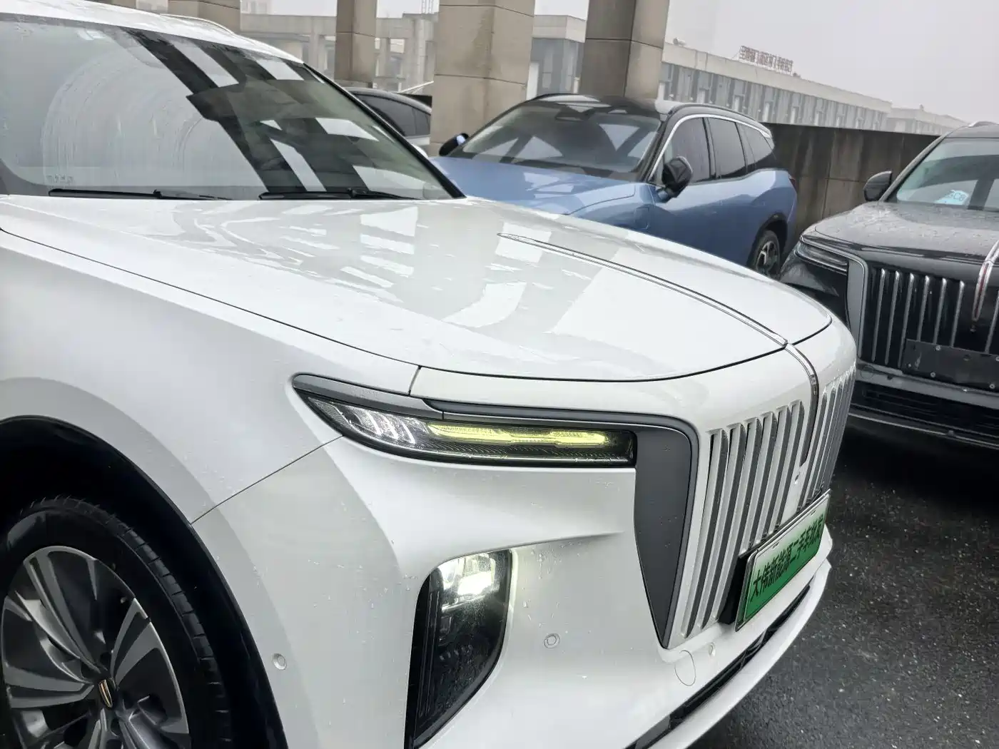 Hongqi E-HS9 2021 460km Flagship Deluxe 7-seater фото 19