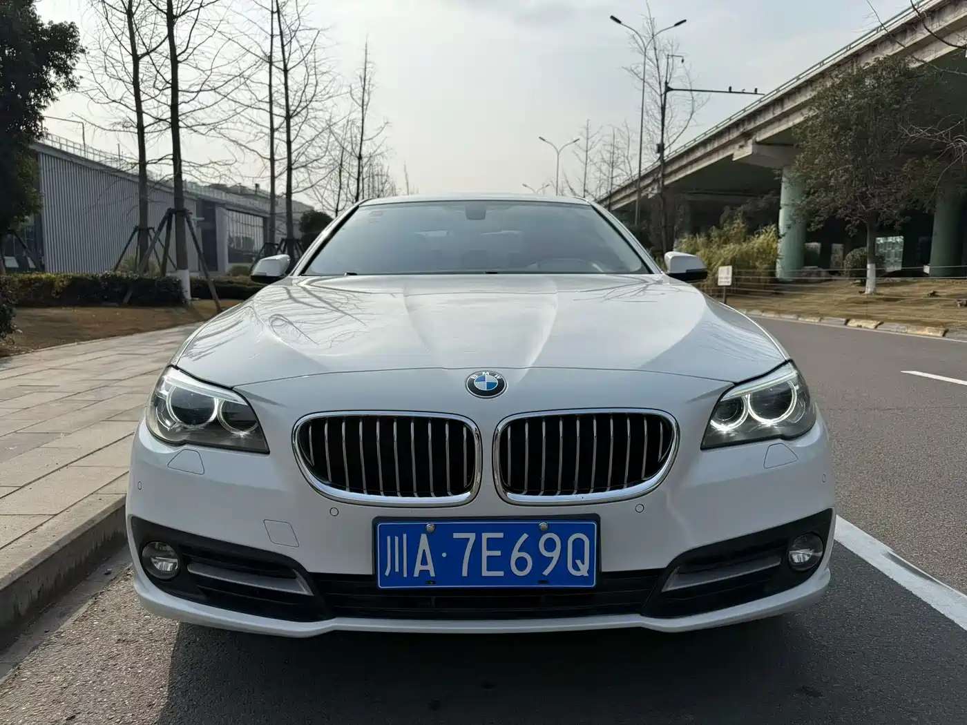 BMW 5 Series 2014 520Li Elegance фото 2