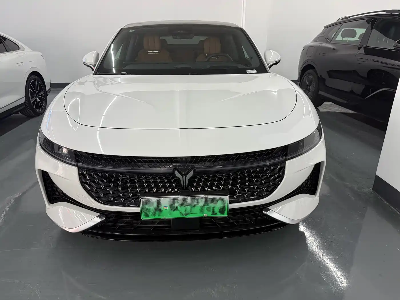 Voyah Auto VOYAH Zhuiguang 2024 PHEV AWD Ultra Long Range Flagship фото 2