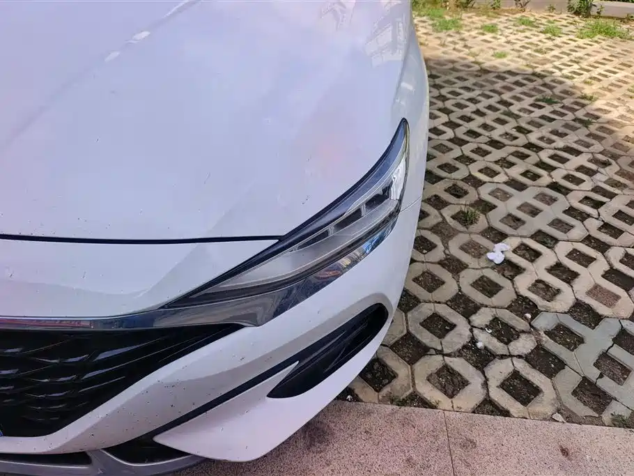 Hyundai Fista 2021 280TGDi DLX Luxury Edition фото 5