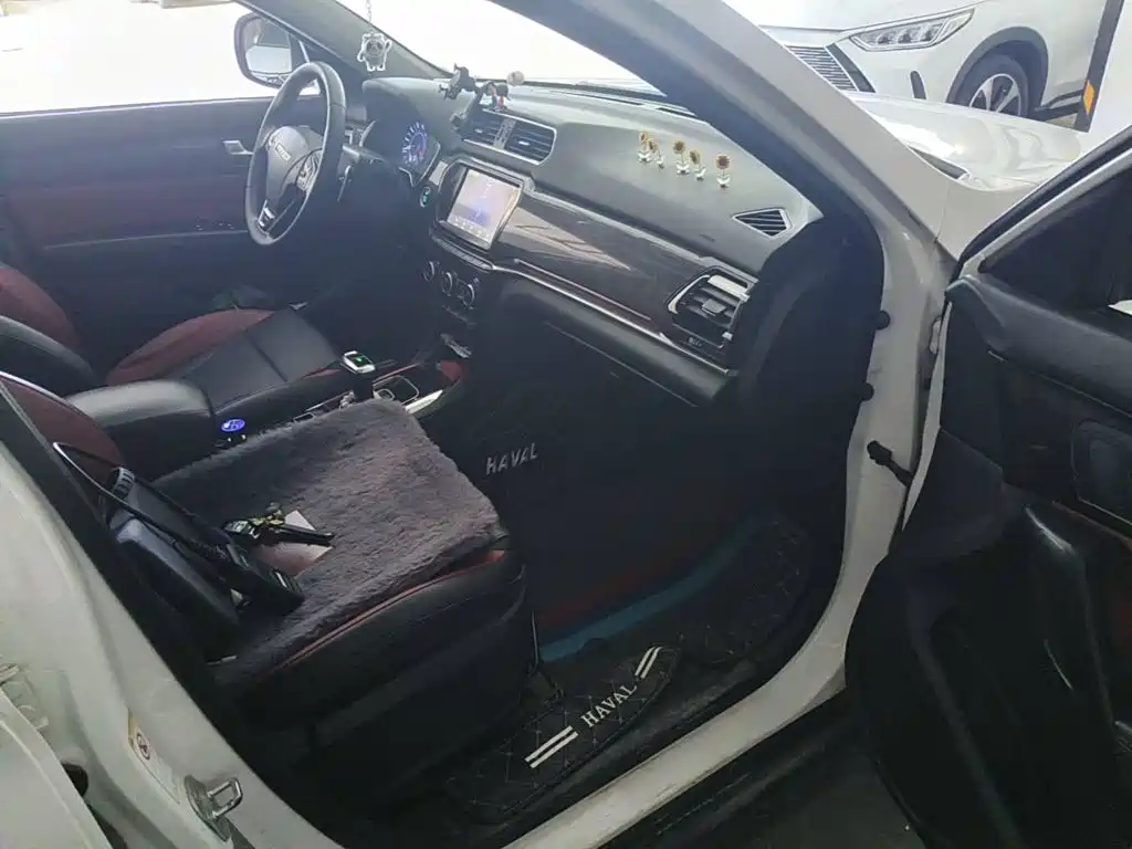 Фото 10 - Haval H2