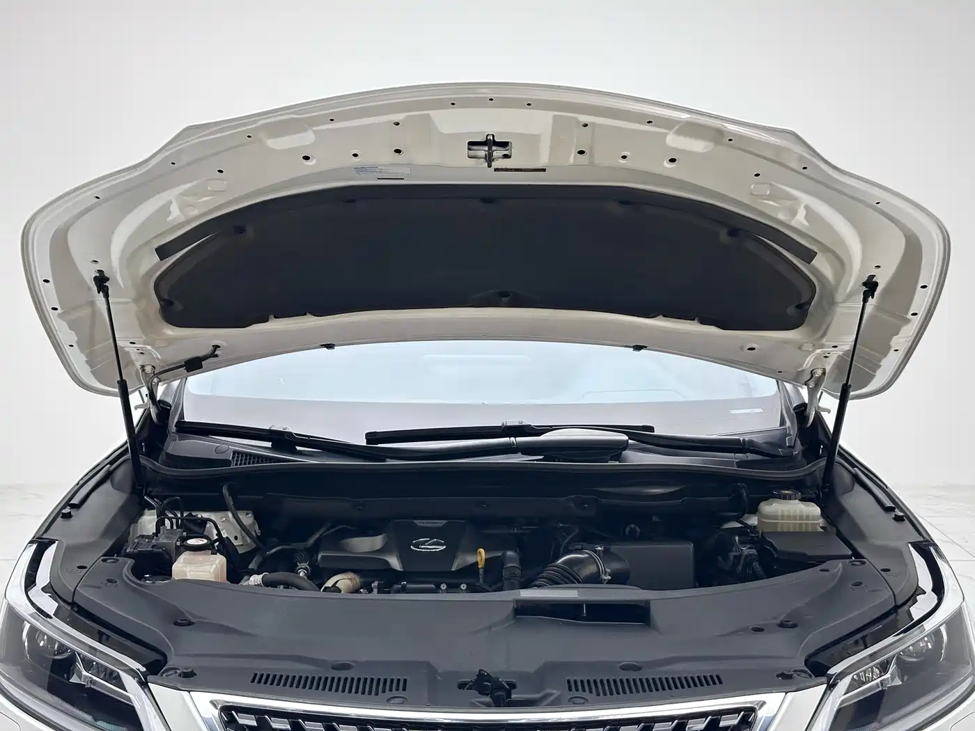 Lexus RX 2020 300 2WD Elite Edition China VI фото 3