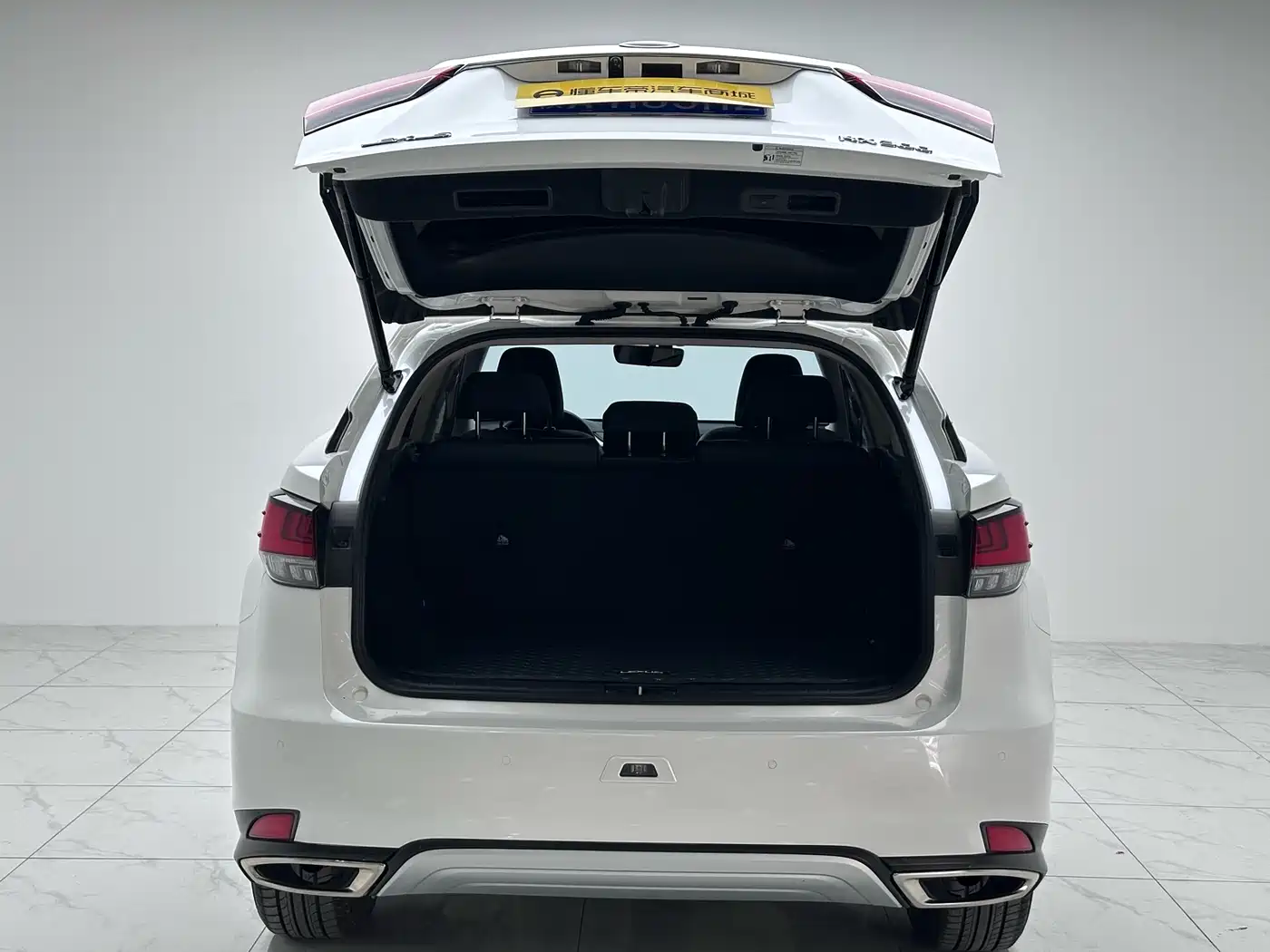 Lexus RX 2020 300 2WD Elite Edition China VI фото 15