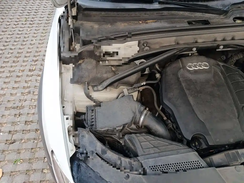 Audi Q5 2017 Plus 40 TFSI Technology фото 20